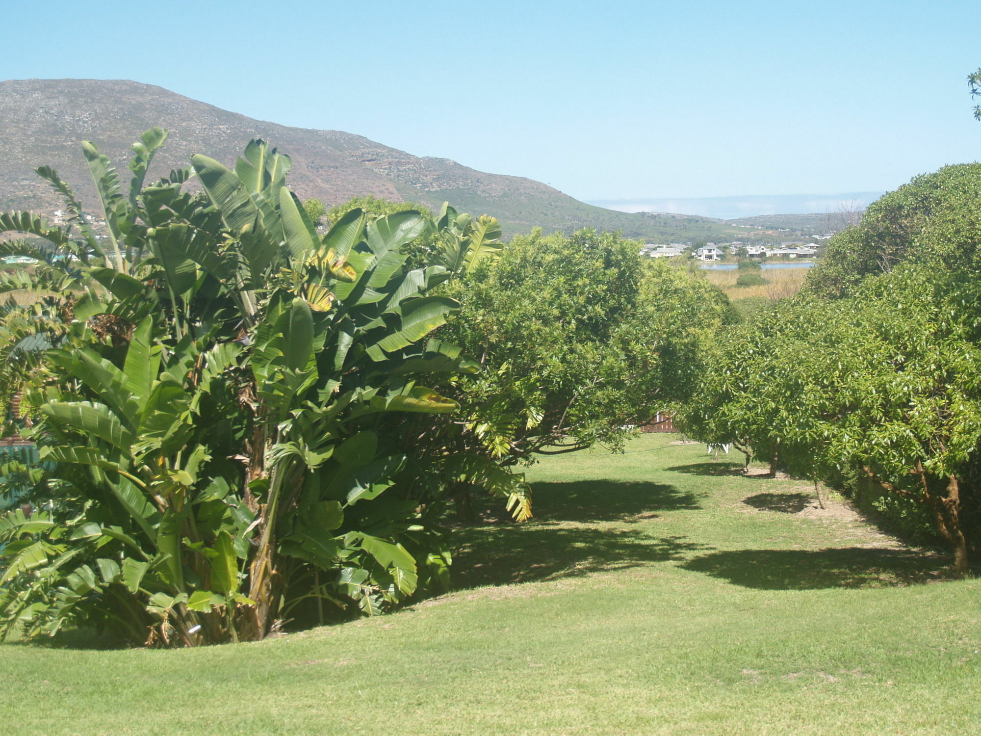 Horizon Cottages Noordhoek Εξωτερικό φωτογραφία